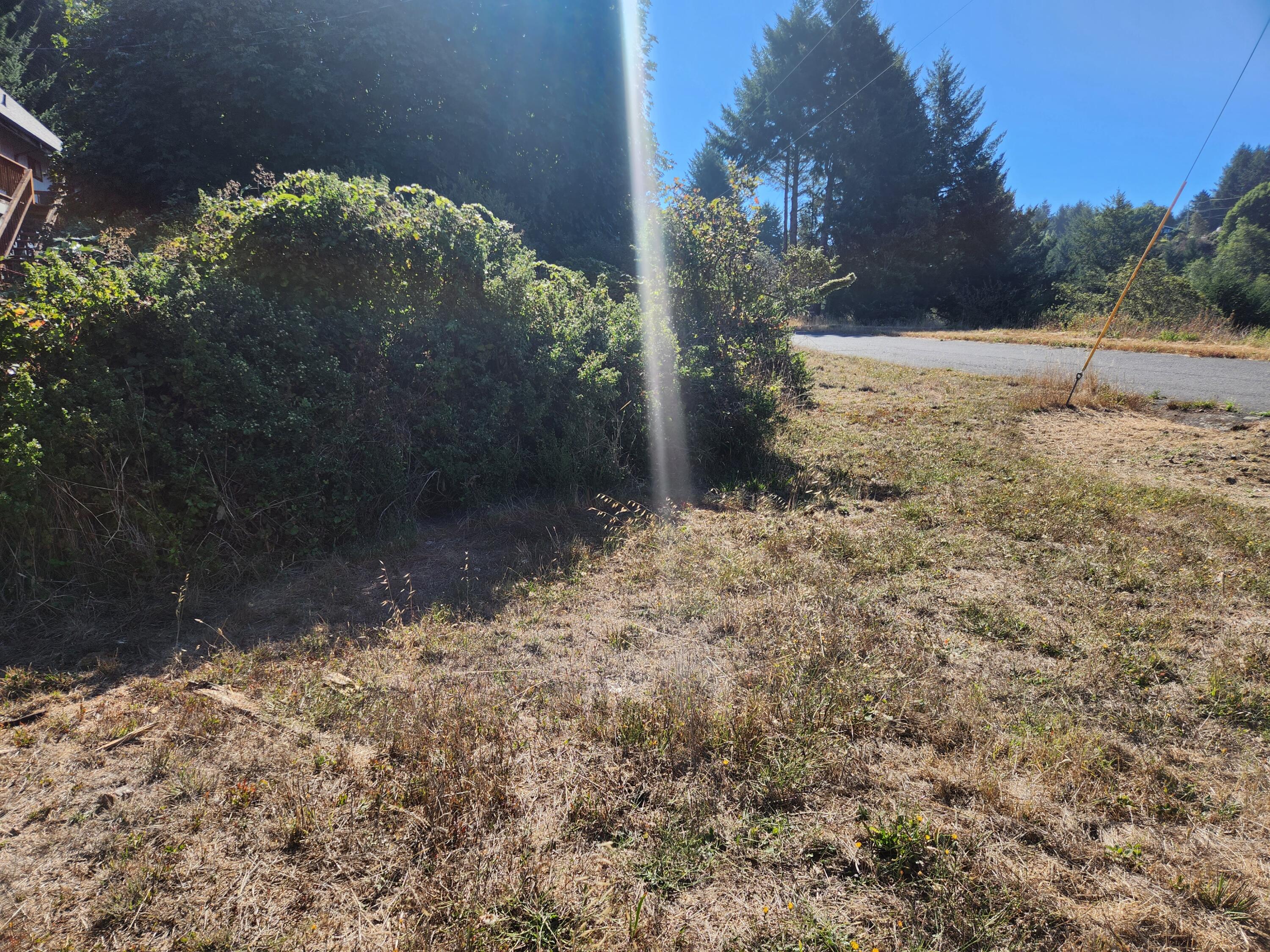 167 Spring Road Whitethorn, CA 95589 - Photo 9 of 9