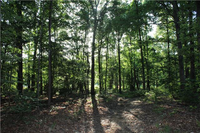 0 Cedar Ck Road Vanleer, TN 37181 - Photo 4 of 7 Gallery Image 4