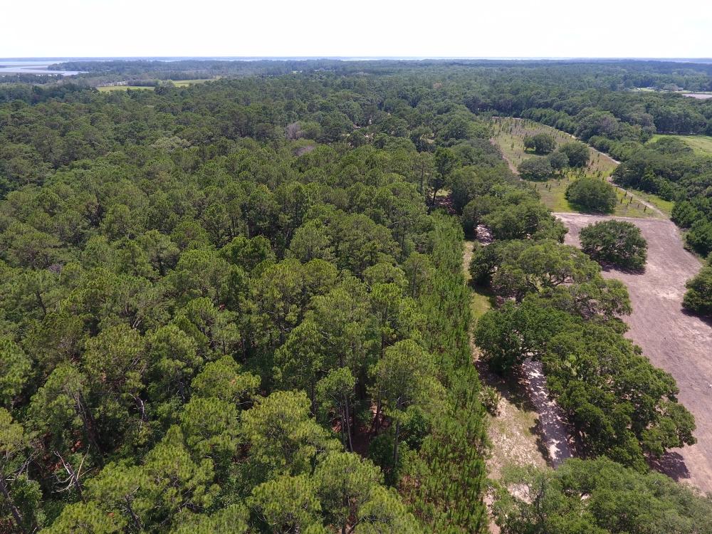 0 Rockefeller Road Wadmalaw Island, SC 29487 - Photo 10 of 10 10