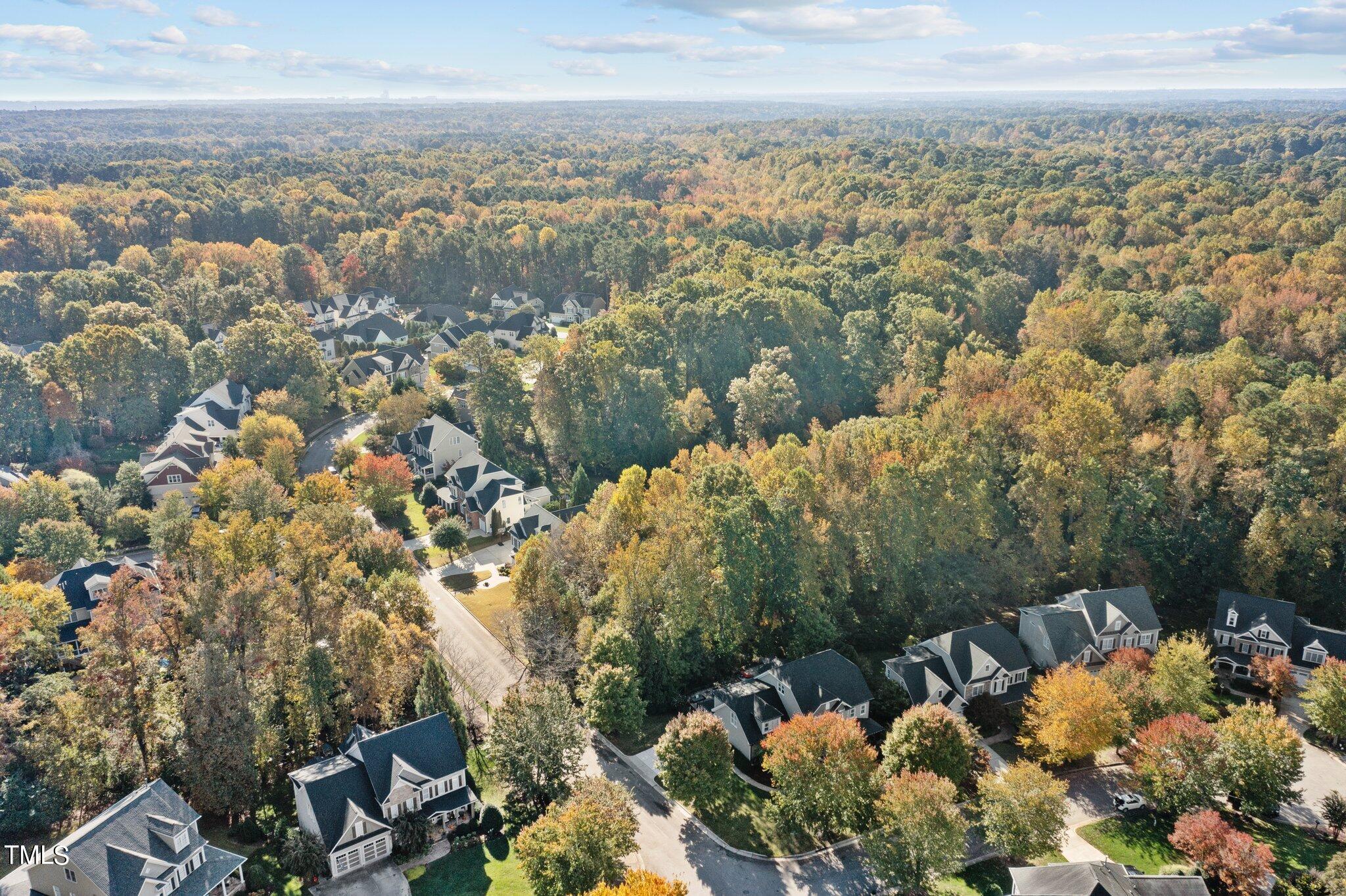 8818 Fidelis Lane Raleigh, NC 27613 - Photo 71 of 78 38-web-or-mls-DJI_0353