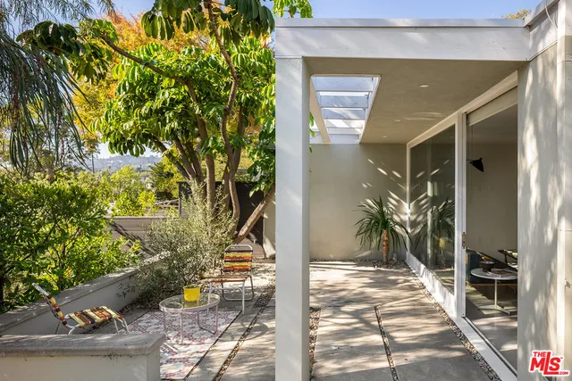 a potted plant sitting in front of a house