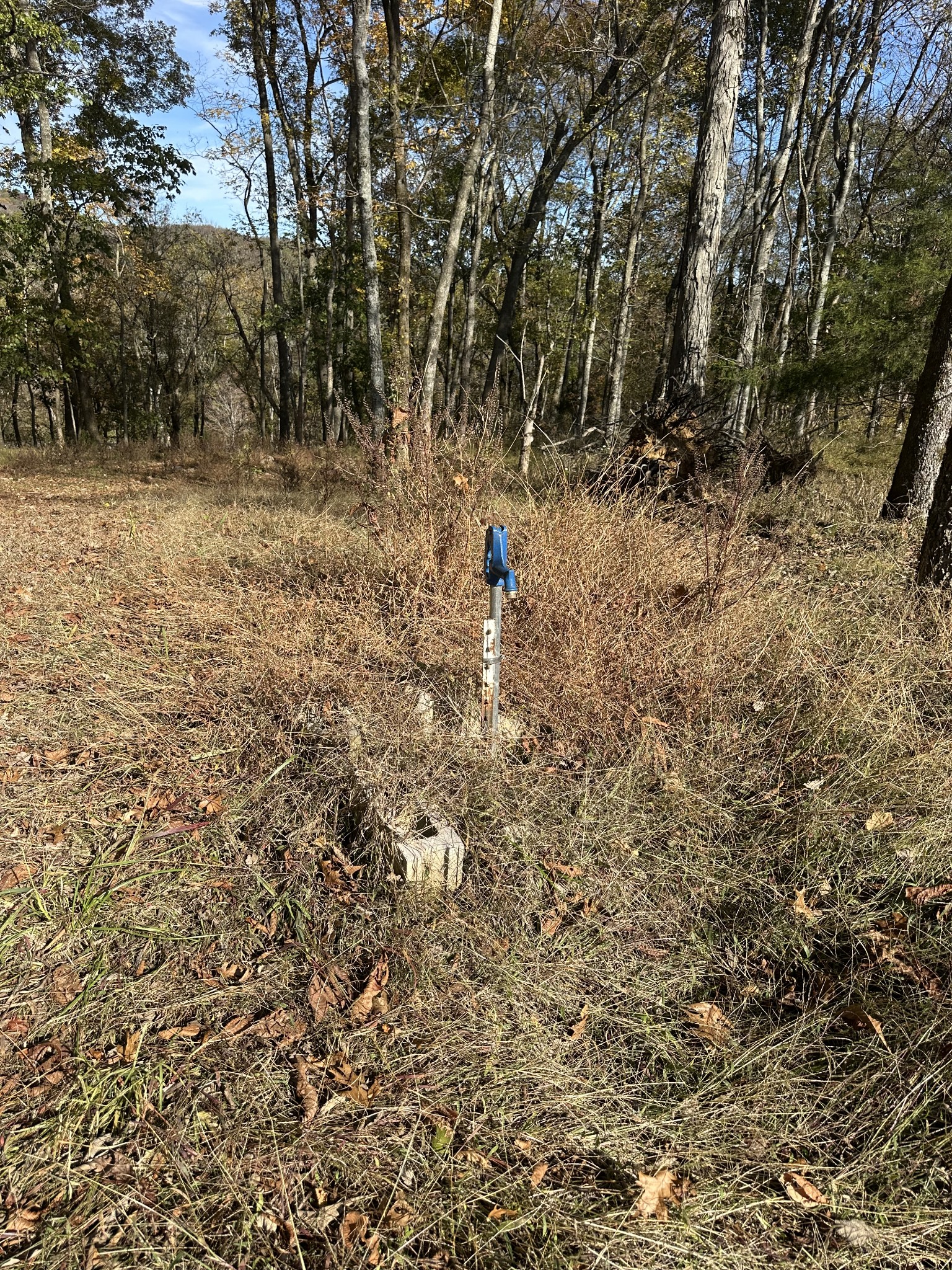 2965 Sulphur College Road Hartsville, TN 37074 - Photo 31 of 33