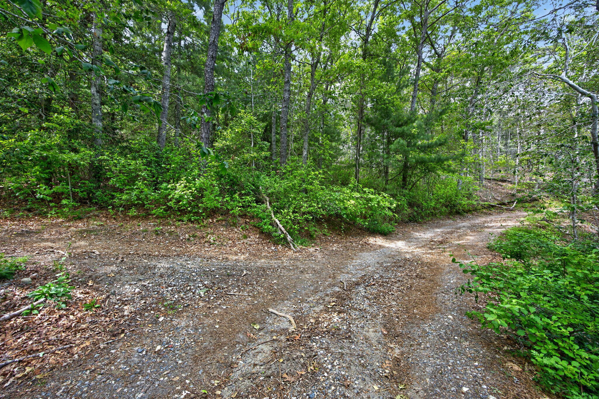 20 Hirsch Road Forestdale, MA 02644 - Photo 15 of 27 21-PF0A2471
