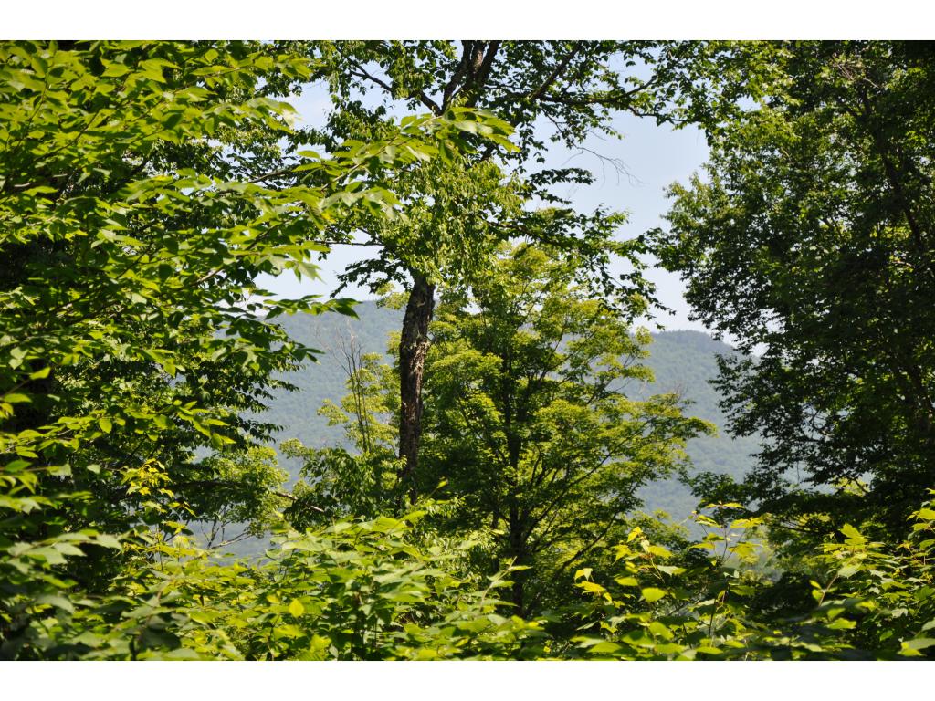0 Mountain Top Road Chittenden, VT 05737 - Photo 5 of 7