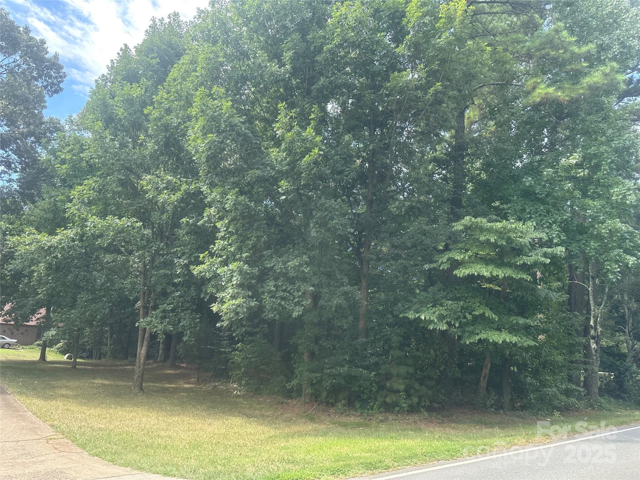 0 Webbs Road Denver, NC 28037 - Photo 3 of 8 a view of a swimming pool
