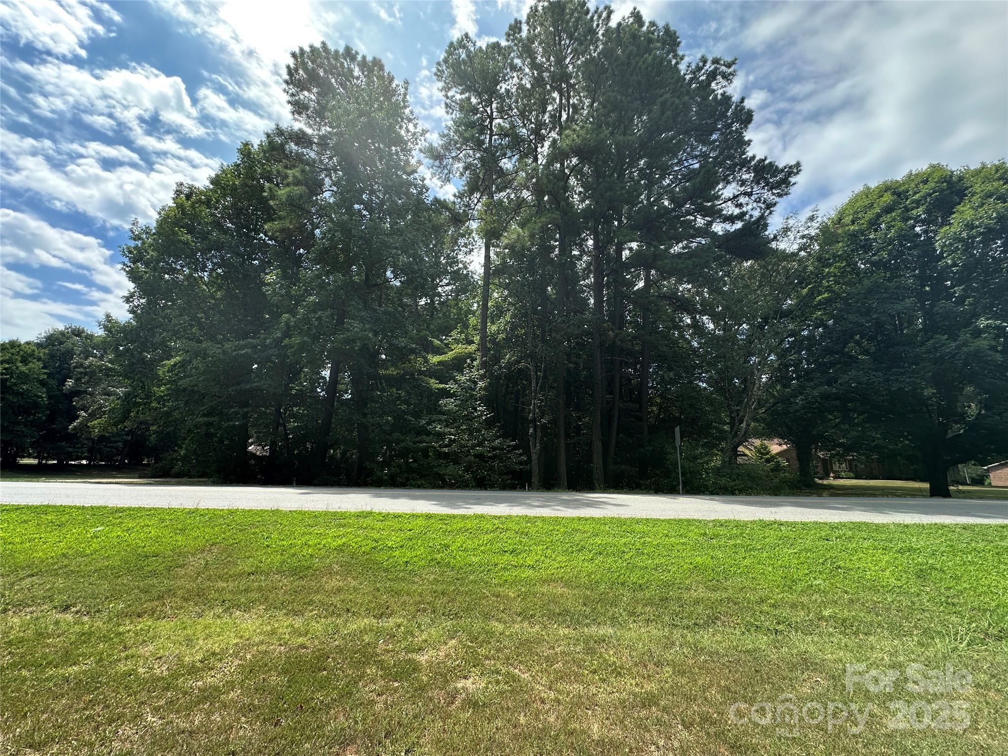 0 Webbs Road Denver, NC 28037 - Photo 4 of 8 a park with trees in the background