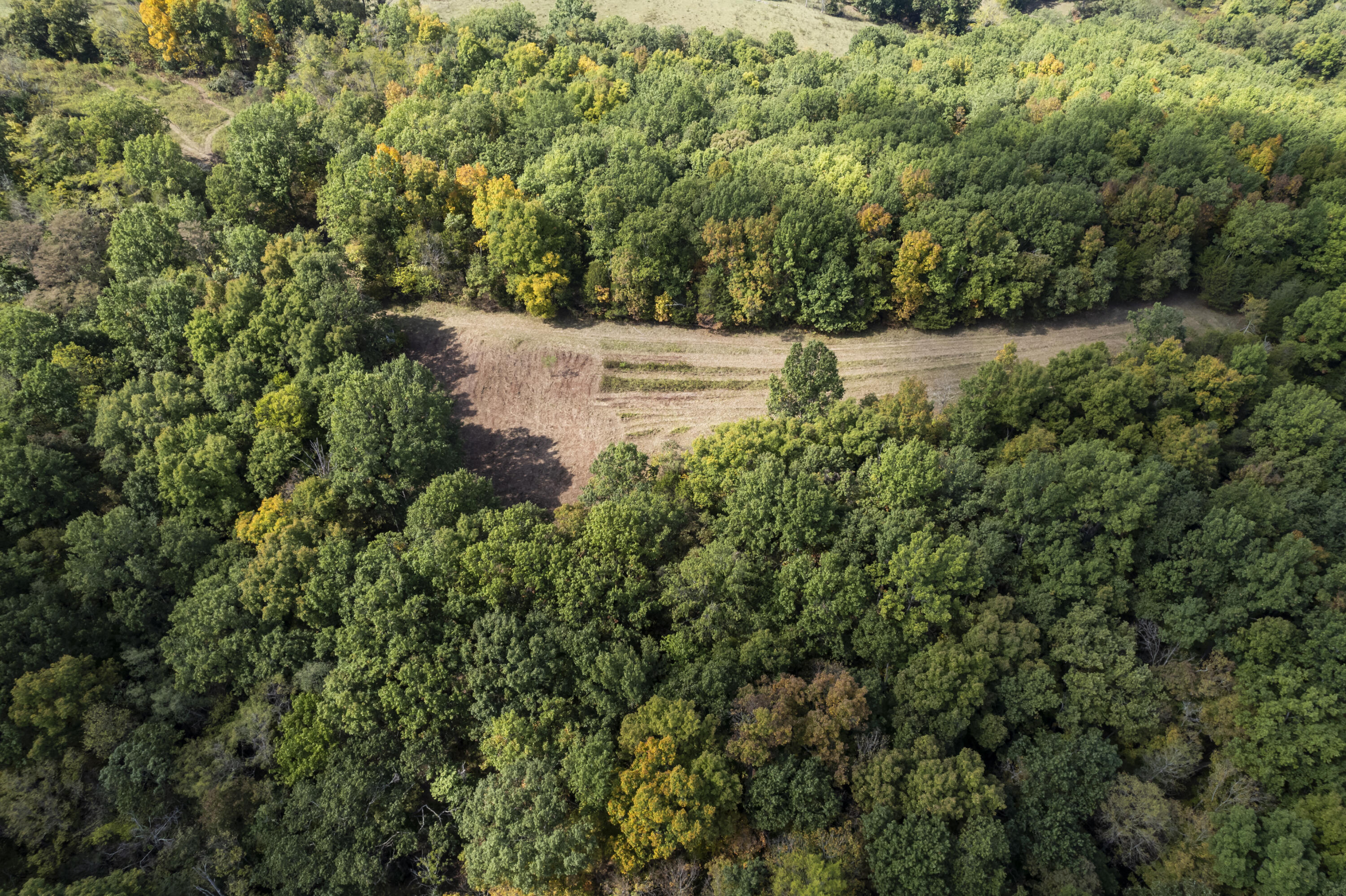 77-ac Clarks Crk Road Dry Ridge, KY 41035 - Photo 6 of 31