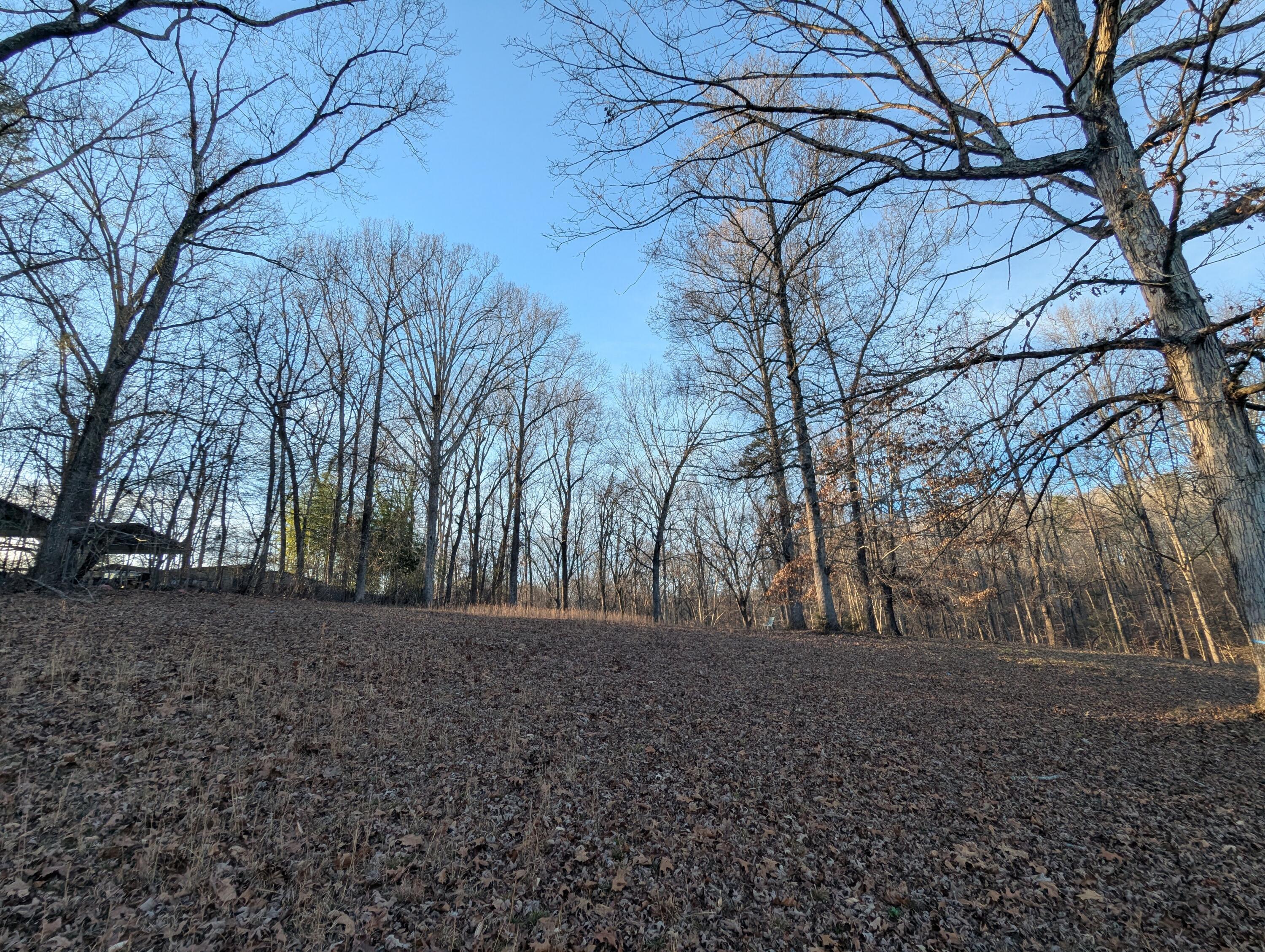 7207 A Moses Road Hixson, TN 37343 - Photo 11 of 31 PXL_20251231_213309503.MP