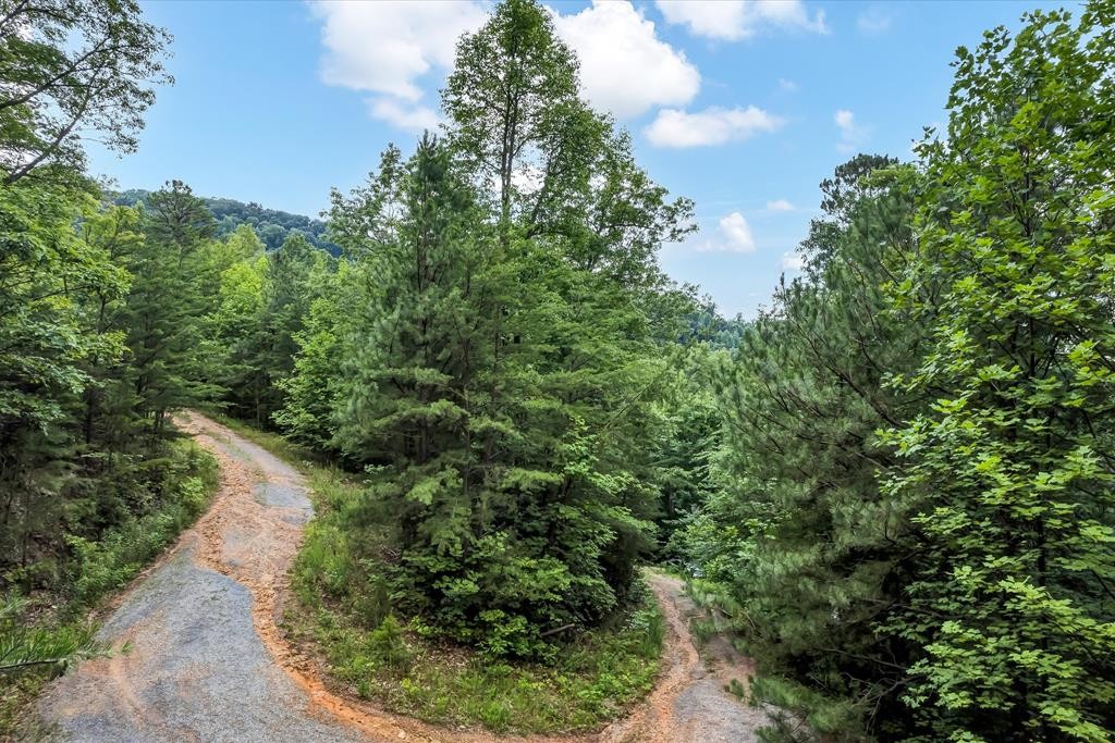 0 Green Forest Road Cosby, TN 37722 - Photo 29 of 35