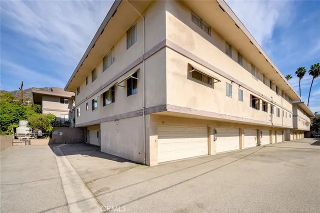 a view of a pathway with plants and large trees