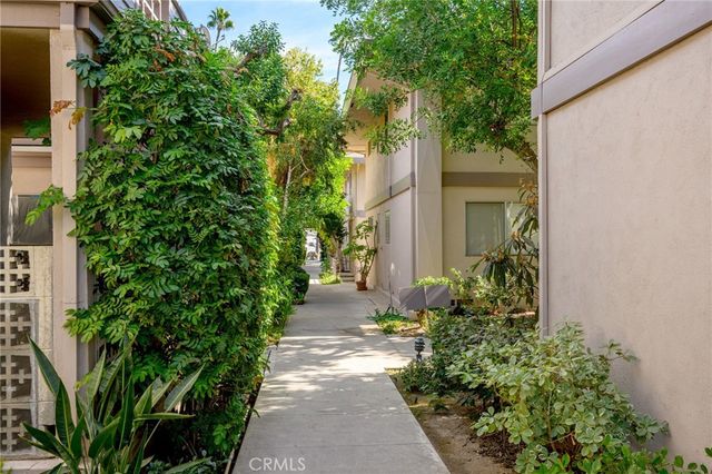 a view of a pathway with plants