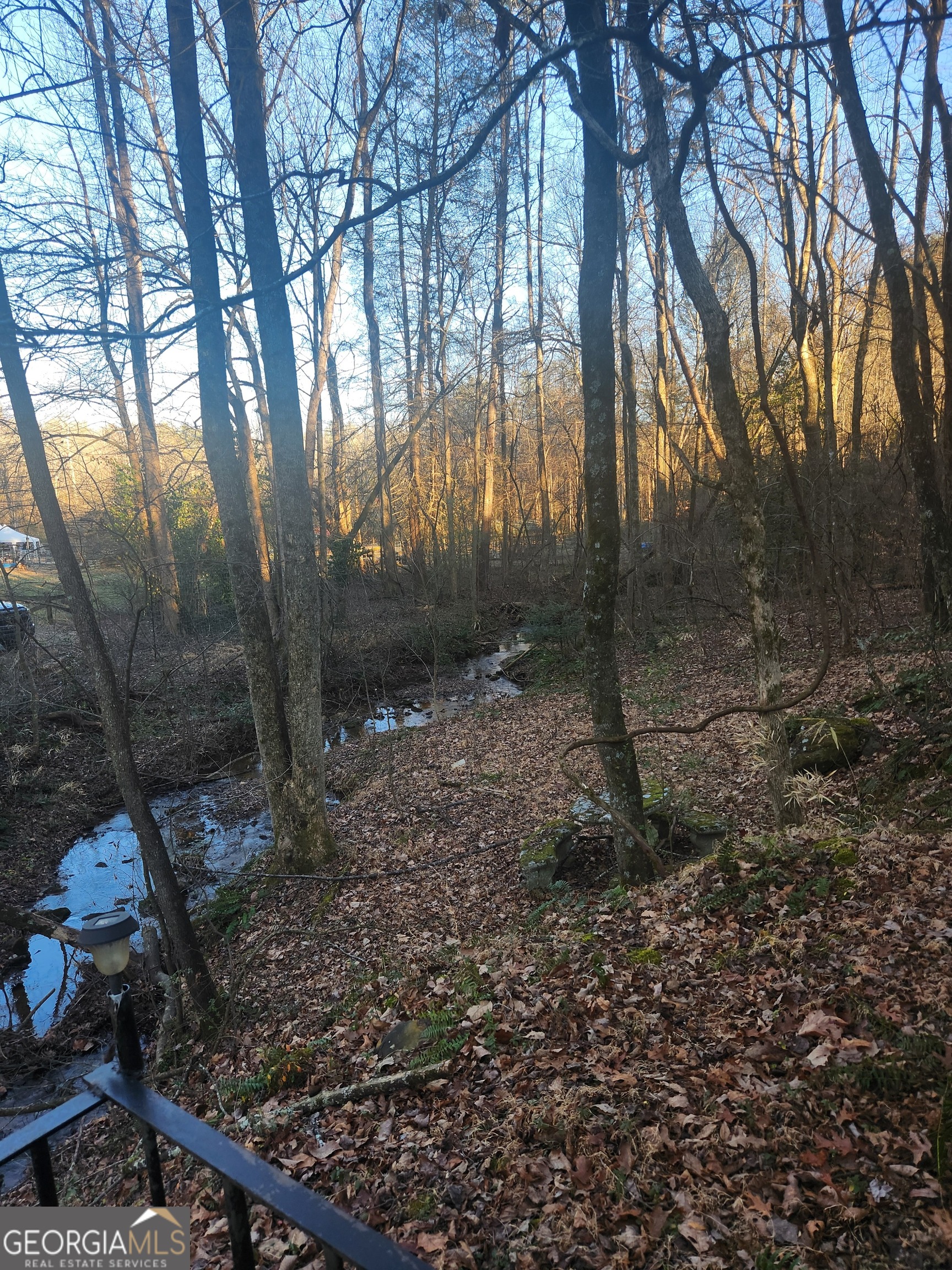 2911 Paradise Valley Road Cleveland, GA 30528 - Photo 8 of 8 a backyard of a house with lots of green space