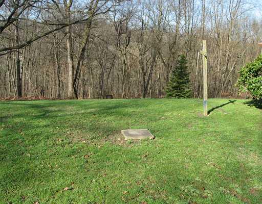 163 Old Maids Road Ruffs Dale, PA 15679 - Photo 6 of 14 Exterior Back.