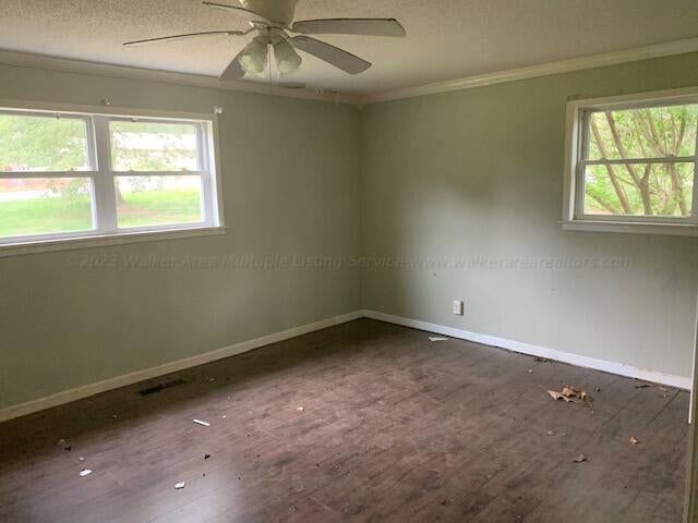 295 Bates Landing Road Phil Campbell, AL 35581 - Photo 27 of 30 Gallery Image 27