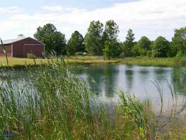 7596 Springborn Road Casco, MI 48064 - Photo 27 of 30 31110039-26.JPG