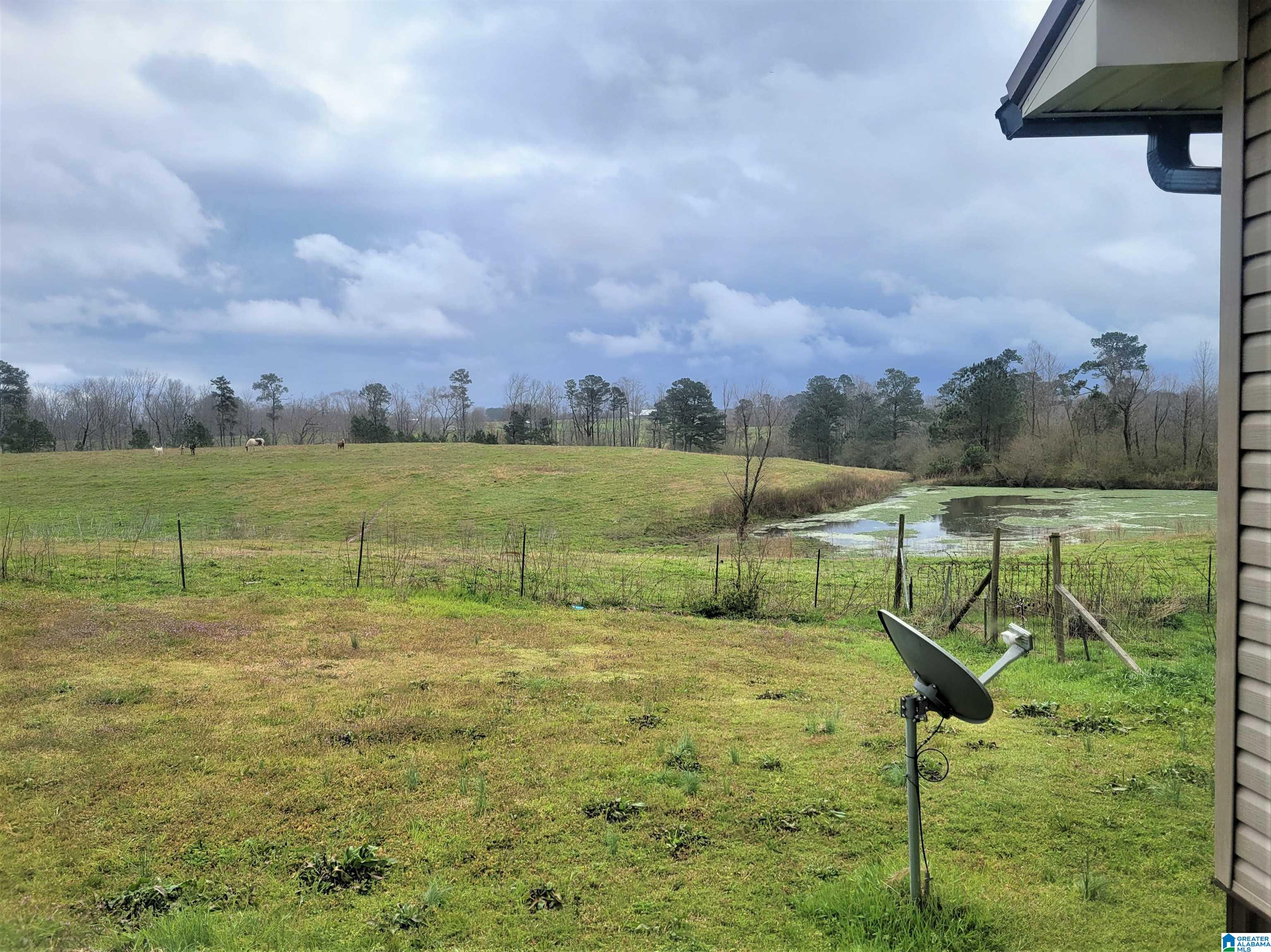 5474 Helicon Road Arley, AL 35541 - Photo 6 of 40 Gallery Image 6