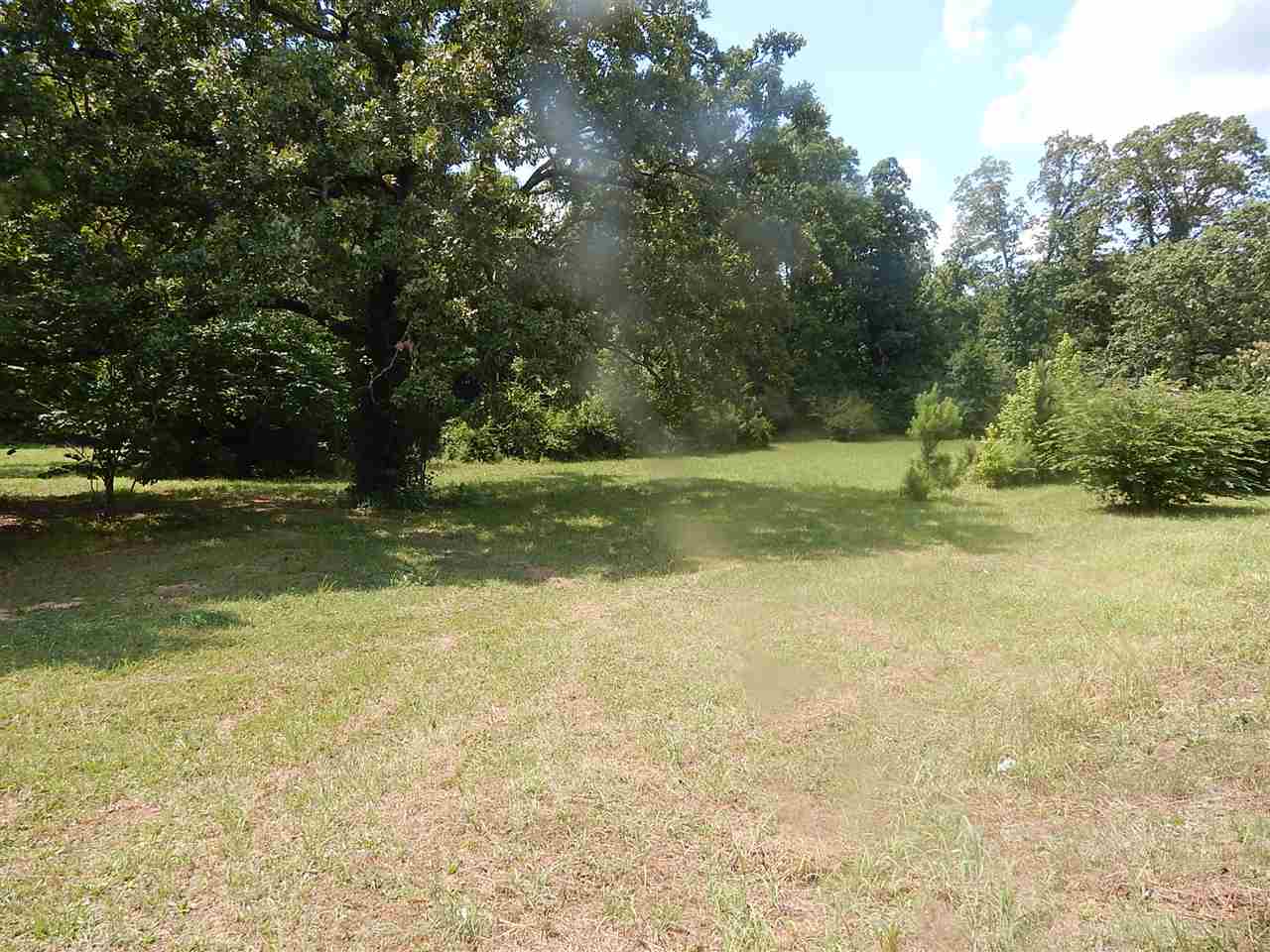 8405 Clifton Road Savannah, TN 38372 - Photo 21 of 25 Gallery Image 21