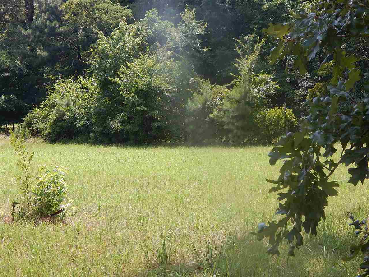 8405 Clifton Road Savannah, TN 38372 - Photo 22 of 25 Gallery Image 22