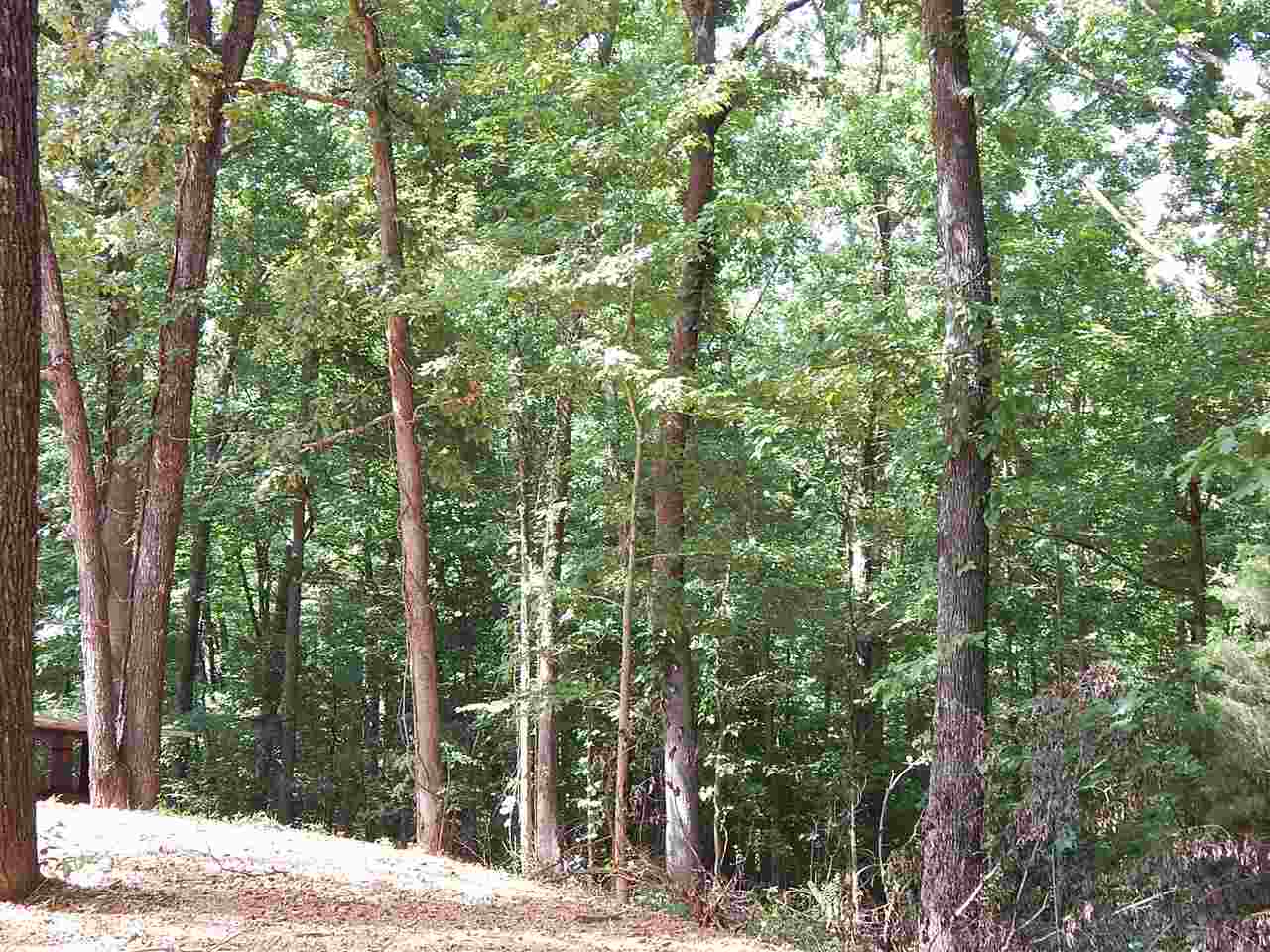 8405 Clifton Road Savannah, TN 38372 - Photo 23 of 25 Gallery Image 23