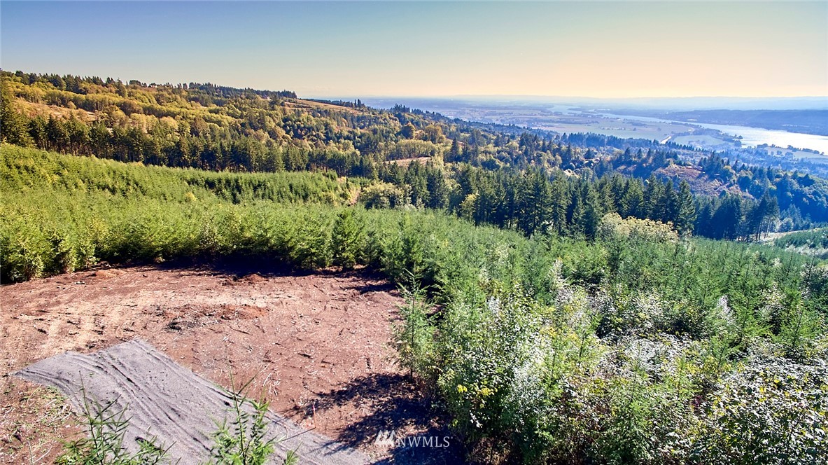 3105 Green Mountain Road, Unit A Kalama, WA 98625 - Photo 1 of 16 Gallery Image 1