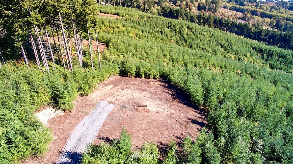 3105 Green Mountain Road, Unit A Kalama, WA 98625 - Photo 3 of 16 Gallery Image 3