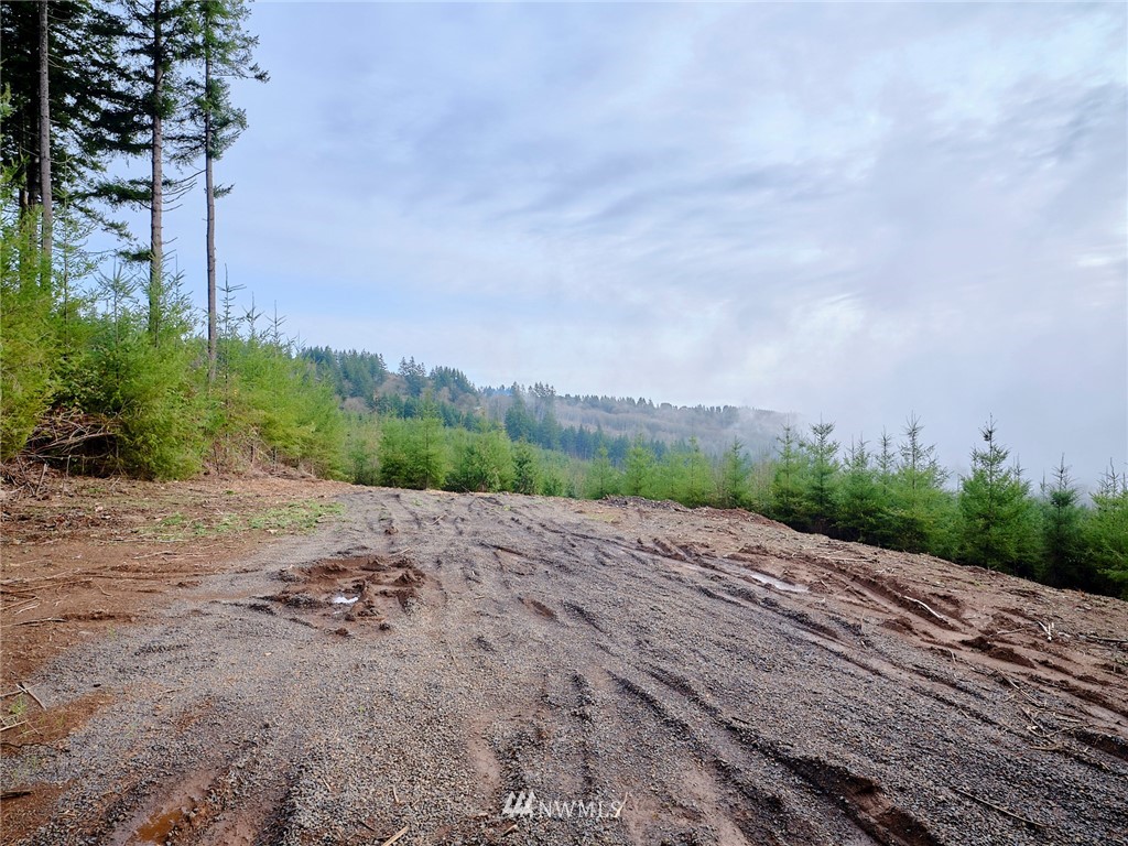 3105 Green Mountain Road, Unit A Kalama, WA 98625 - Photo 4 of 16 Gallery Image 4