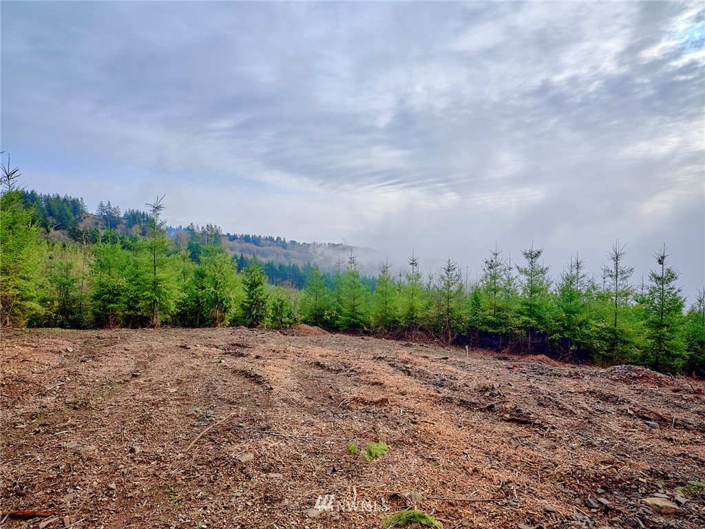 3105 Green Mountain Road, Unit A Kalama, WA 98625 - Photo 6 of 16 Gallery Image 6