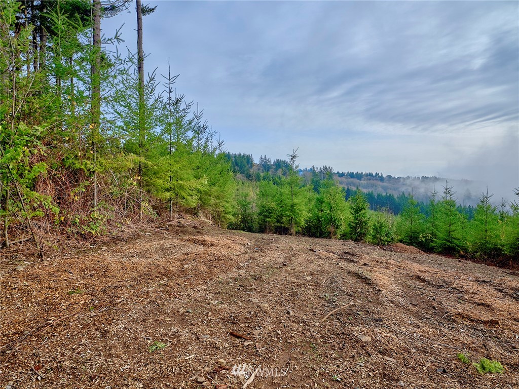 3105 Green Mountain Road, Unit A Kalama, WA 98625 - Photo 7 of 16 Gallery Image 7