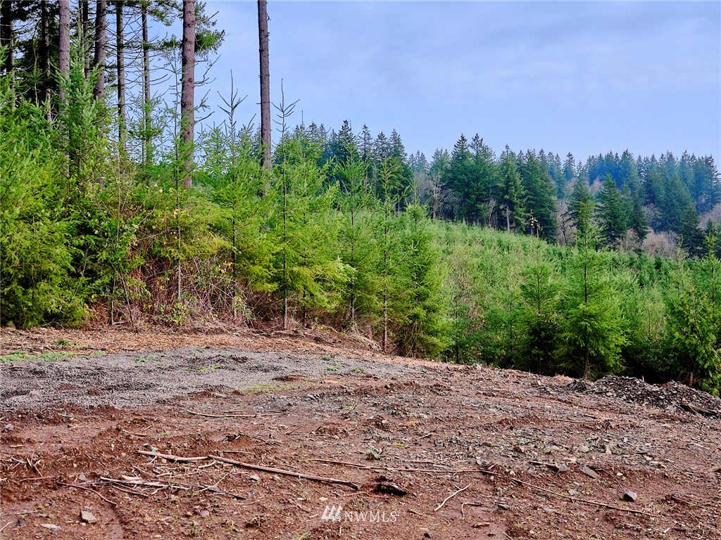 3105 Green Mountain Road, Unit A Kalama, WA 98625 - Photo 8 of 16 Gallery Image 8