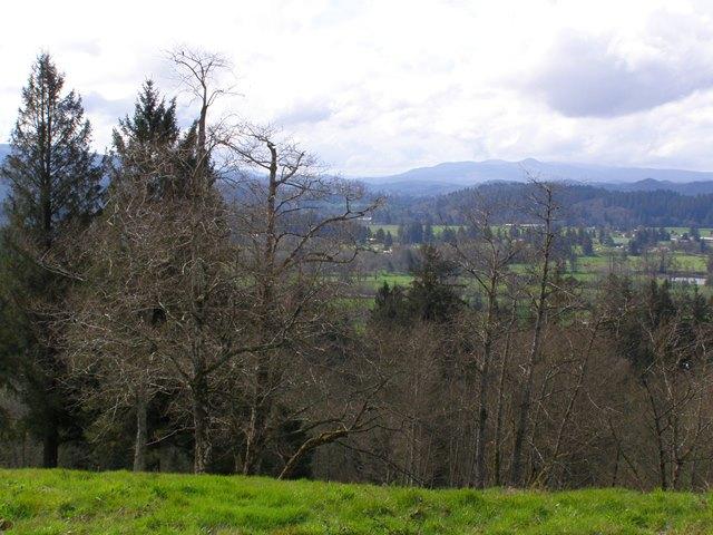 Lot 28 Skyview Road Tillamook, OR 97141 - Photo 10 of 15 P3180367.JPG