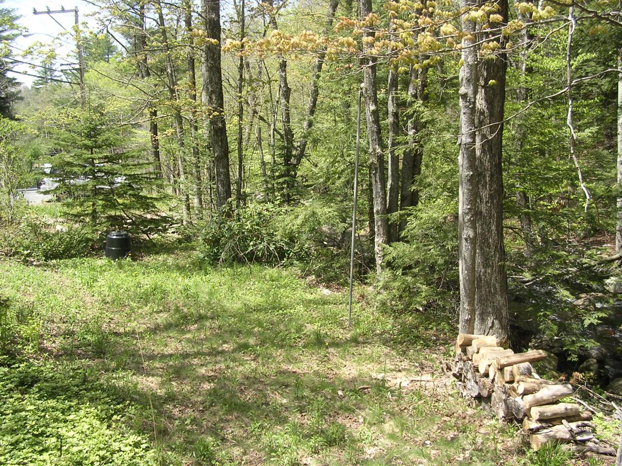 487 East Otis Road Otis, MA 01253 - Photo 14 of 14 yard