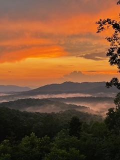 238 Ridge View Lane Hayesville, NC 28904 - Photo 44 of 48