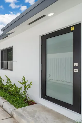 a potted plant in front of a door
