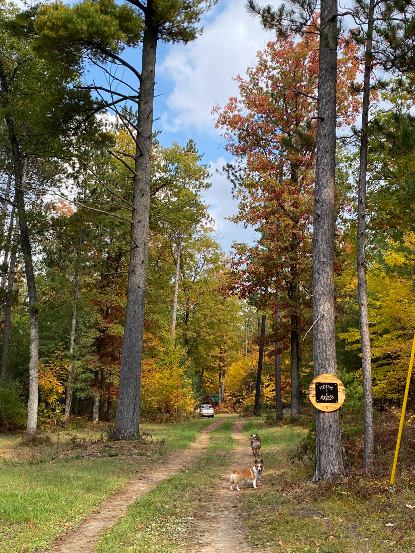 3565 East 7 Mile Road Roscommon, MI 48653 - Photo 13 of 16 Gallery Image 13