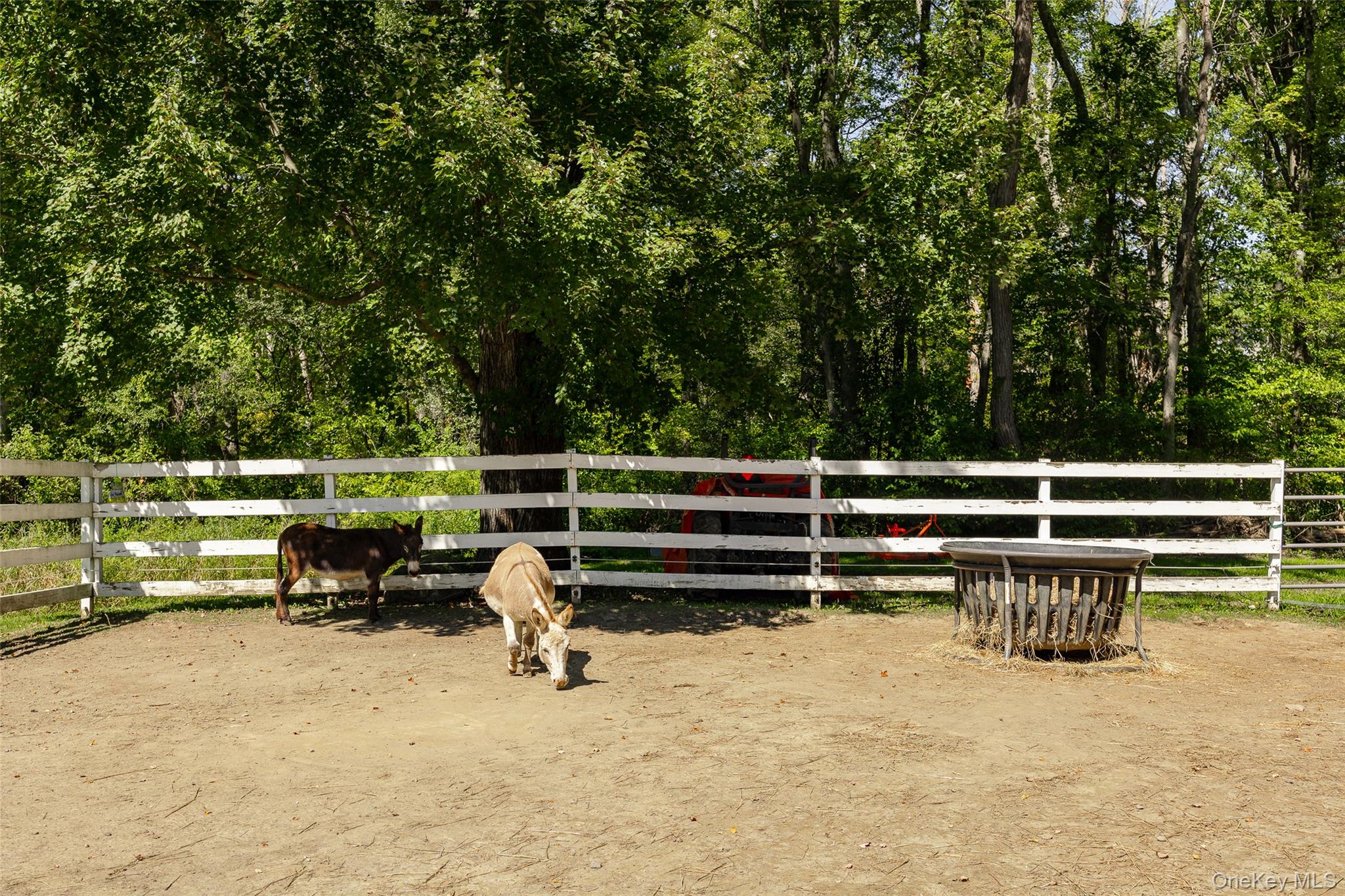 26 Gold Road Pleasant Valley, NY 12569 - Photo 37 of 50 Gallery Image 37