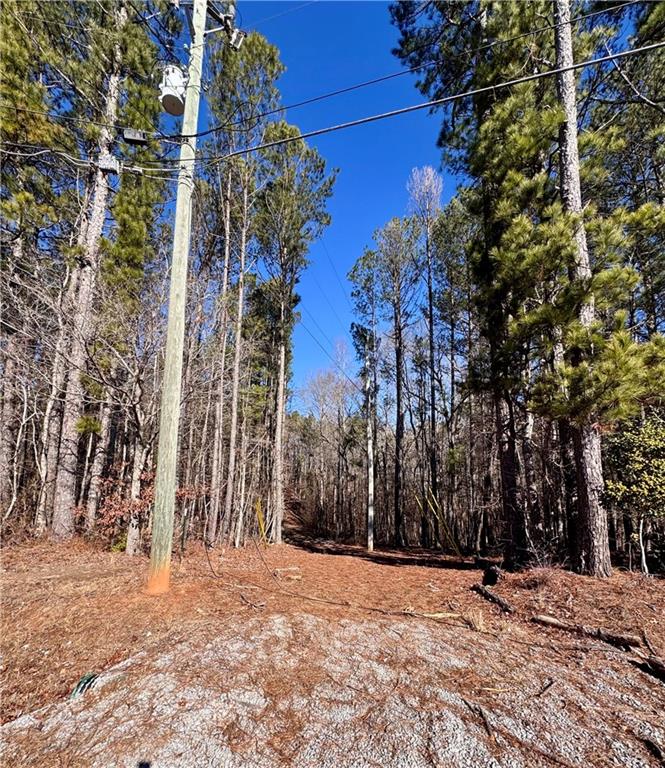 5095 North Helton Road Winston, GA 30187 - Photo 3 of 12 a view of a house with a snow in the yard