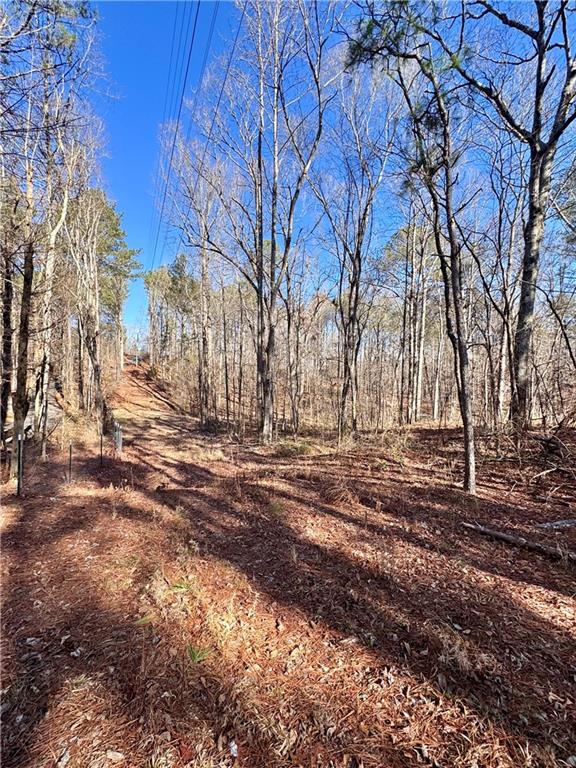 5095 North Helton Road Winston, GA 30187 - Photo 5 of 12 a view of a yard with trees