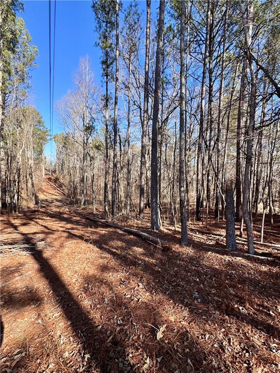 5095 North Helton Road Winston, GA 30187 - Photo 6 of 12 a backyard of a house with lots of green space