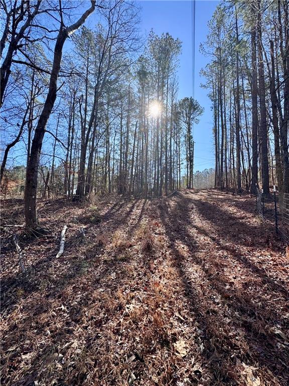 5095 North Helton Road Winston, GA 30187 - Photo 7 of 12 a view of dirt yard with a large tree