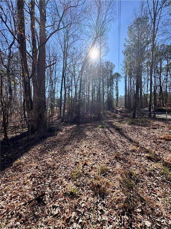 5095 North Helton Road Winston, GA 30187 - Photo 8 of 12 a view of a yard with trees