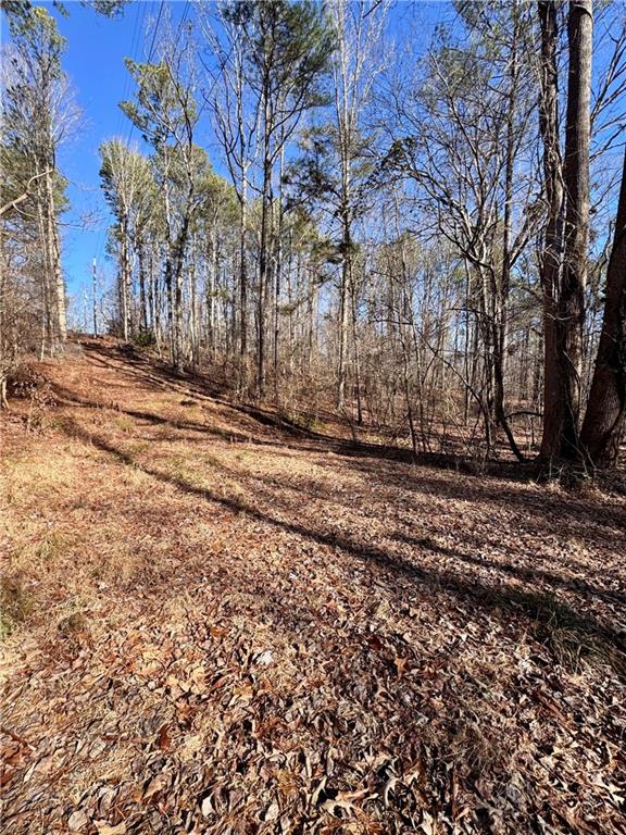 5095 North Helton Road Winston, GA 30187 - Photo 9 of 12 a view of outdoor space with wooden fence