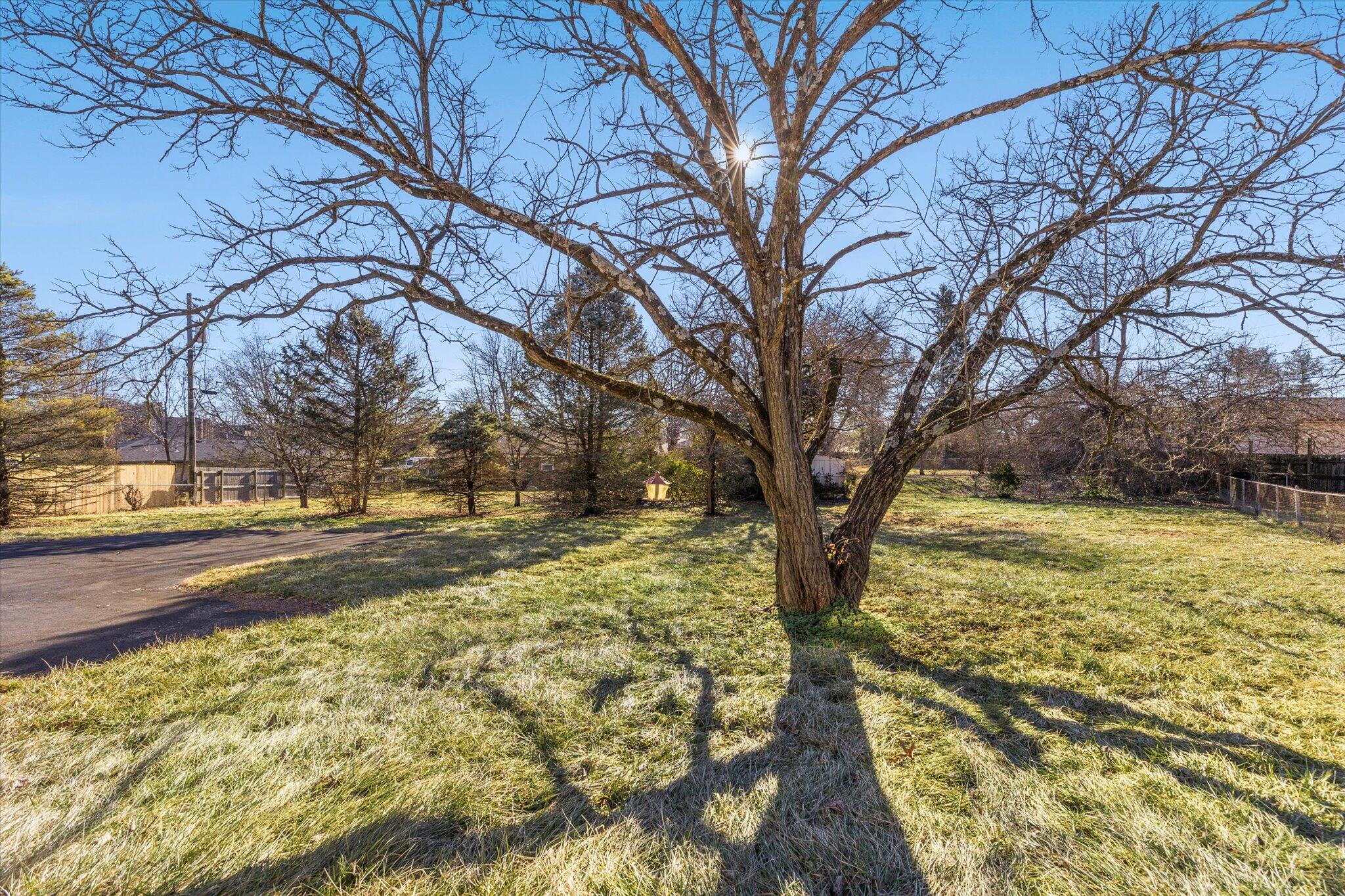 236 Toronto Road Lexington, KY 40515 - Photo 24 of 24 24-6M3A4628