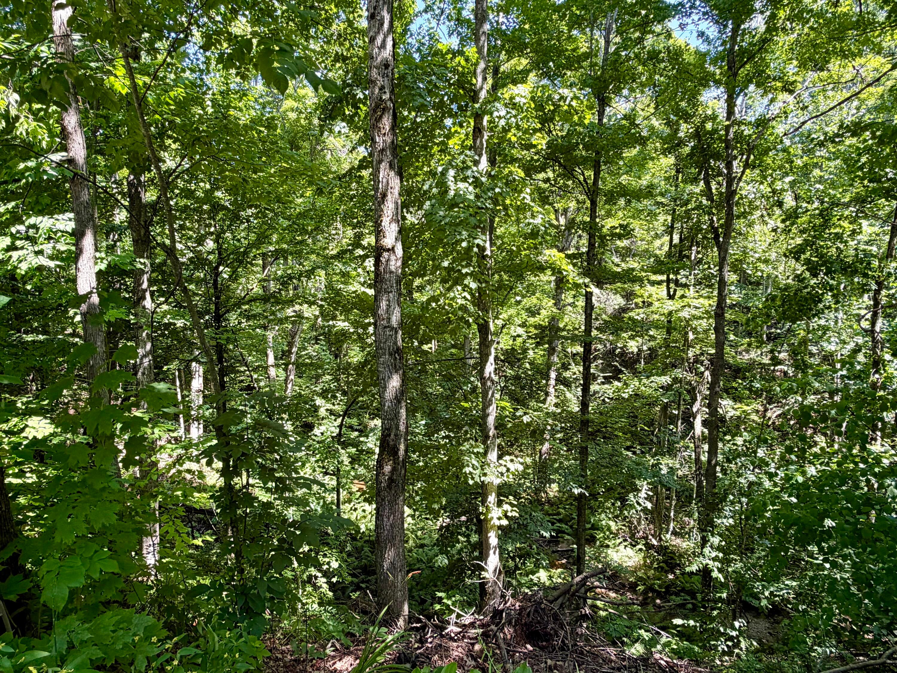 3612 River Rest Road Cheboygan, MI 49721 - Photo 28 of 32 Gallery Image 28