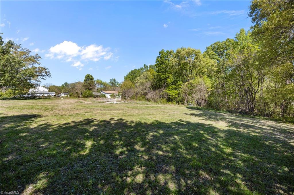 1011 Gaines Avenue High Point, NC 27263 - Photo 2 of 10 Buildable Lot
