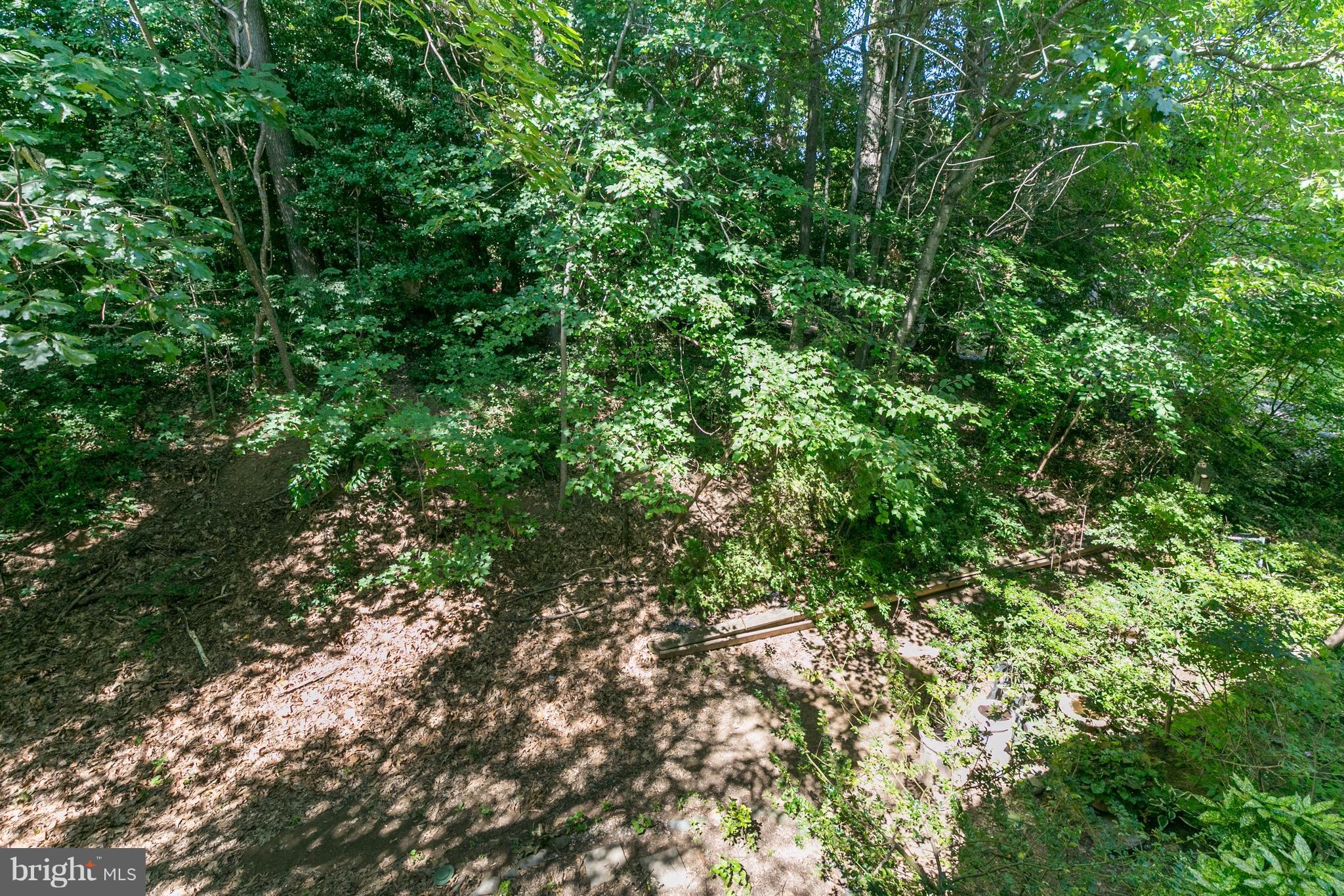 11650 Stoneview Square, Unit 11C Reston, VA 20191 - Photo 23 of 26 a view of a lush green forest