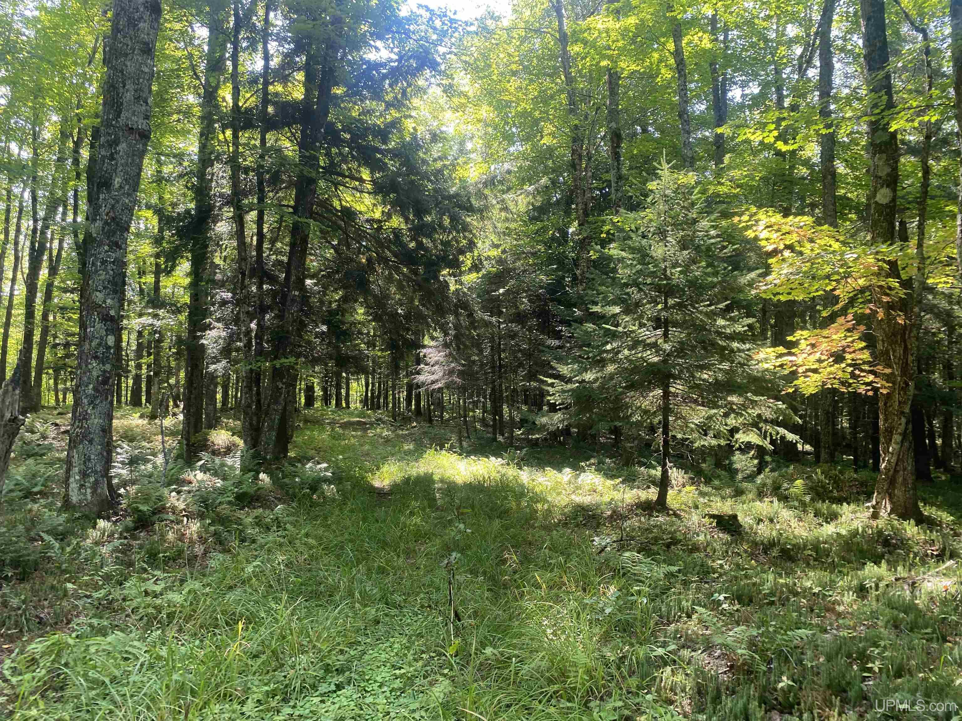 13-14 Grace Lake Road Watersmeet, MI 49969 - Photo 17 of 23