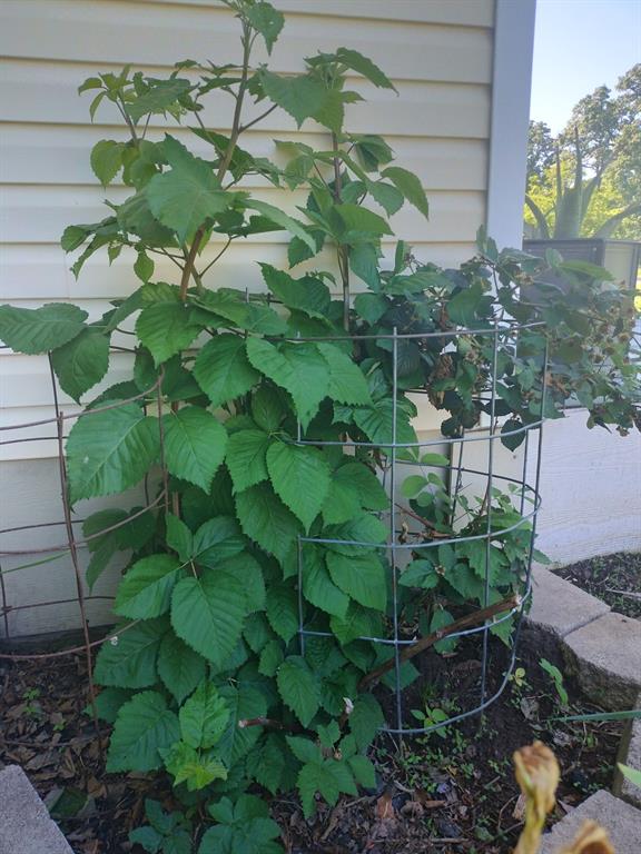 4440 Dripping Spring Road Sherman, TX 75090 - Photo 38 of 39