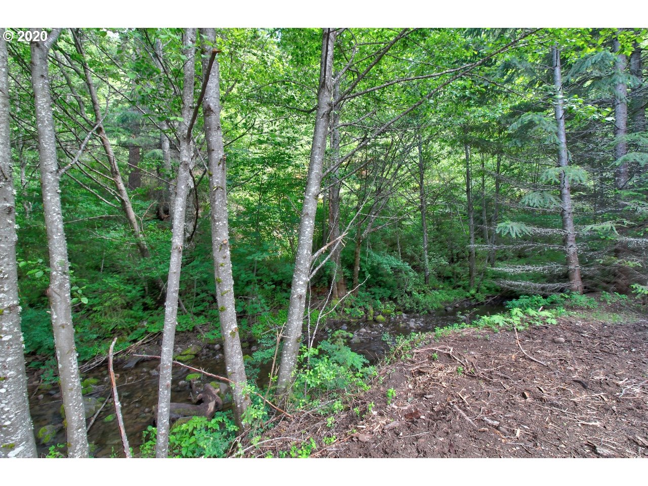 Mill Creek Road The Dalles, OR 97058 - Photo 19 of 23 Gallery Image 19