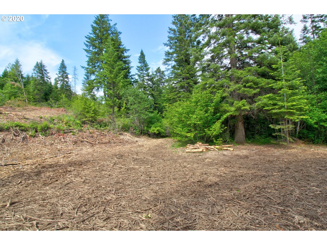 Mill Creek Road The Dalles, OR 97058 - Photo 21 of 23 Gallery Image 21