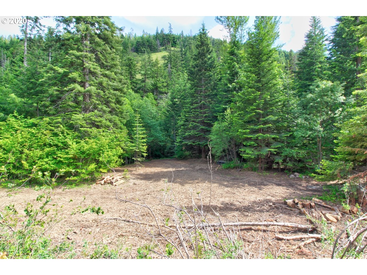 Mill Creek Road The Dalles, OR 97058 - Photo 23 of 23 Gallery Image 23